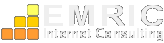 EMRIC Internet Consulting